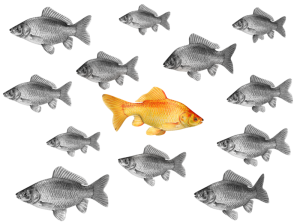 going_against_the_norm_800_clr_10804 (1)